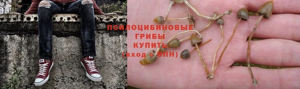 прущий лед Армянск