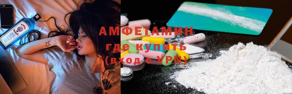 индика Аркадак