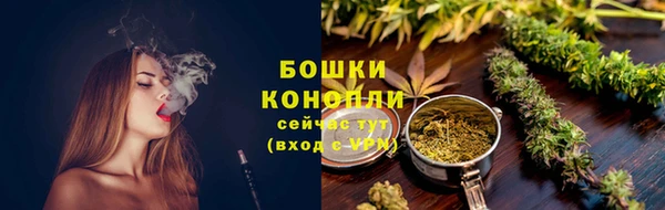 гидра Арсеньев