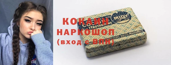 индика Аркадак