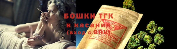 индика Аркадак
