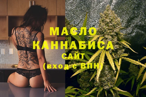 индика Аркадак