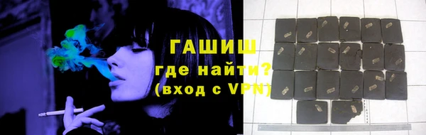 индика Аркадак