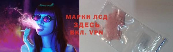 индика Аркадак