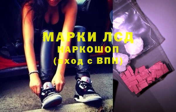 индика Аркадак