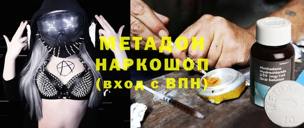индика Аркадак