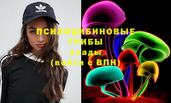 прущий лед Армянск