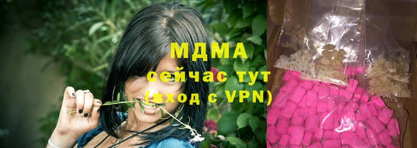 индика Аркадак