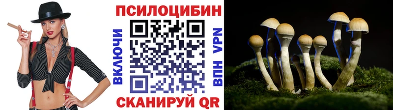 omg вход  darknet как зайти  Псилоцибиновые грибы Magic Shrooms  даркнет сайт  Талица 