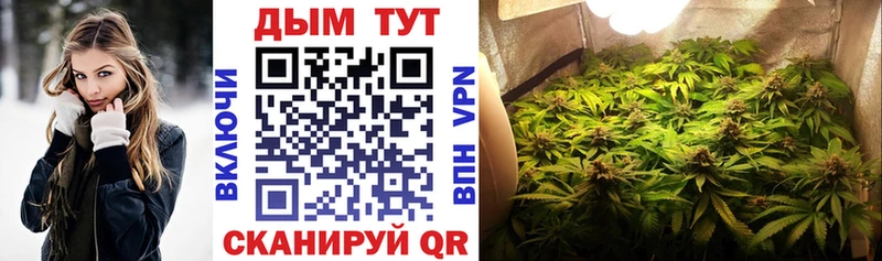 Шишки марихуана планчик  hydra как зайти  Талица 
